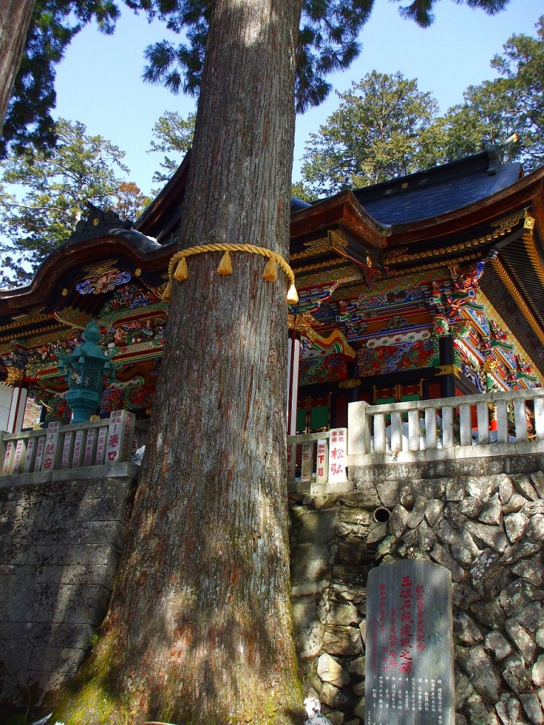 三 峯 神社 縁結び の 木